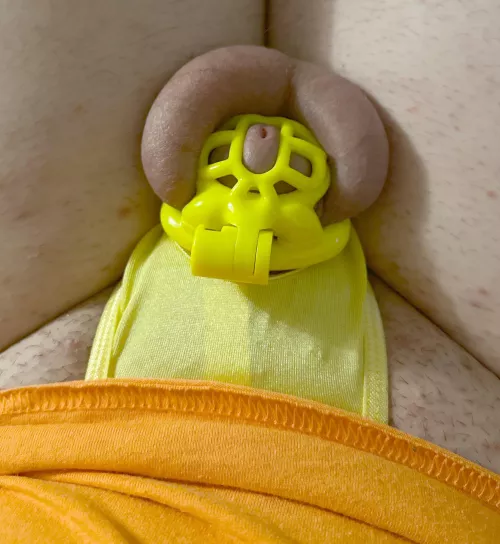 Getting ready for locktober ๐๐๐คซ