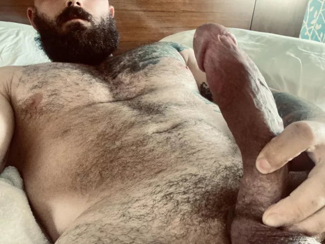 Good morning from my bed