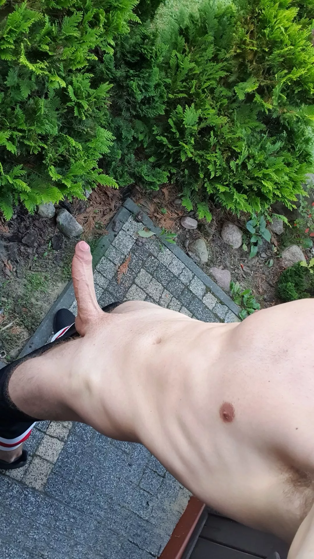 Have you ever sucked a cock in public?