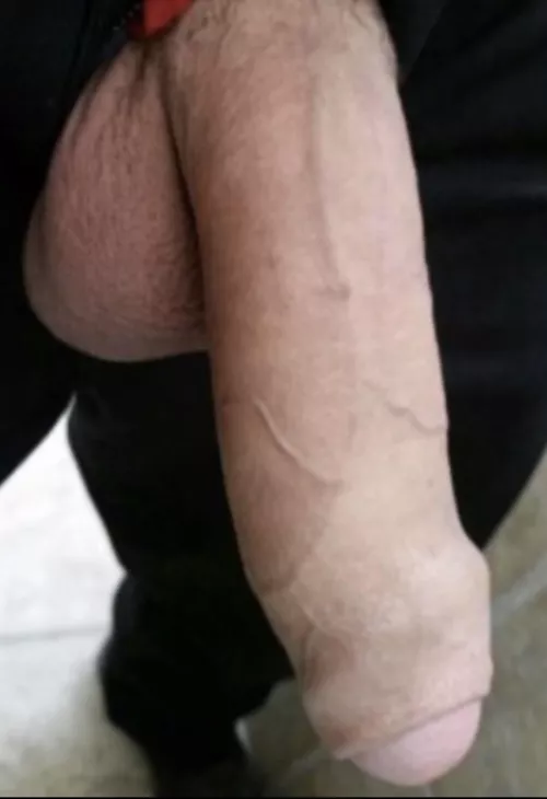 Here’s my little Alabama fella