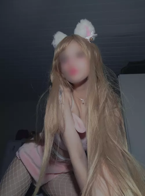 let me be your kitten 😽