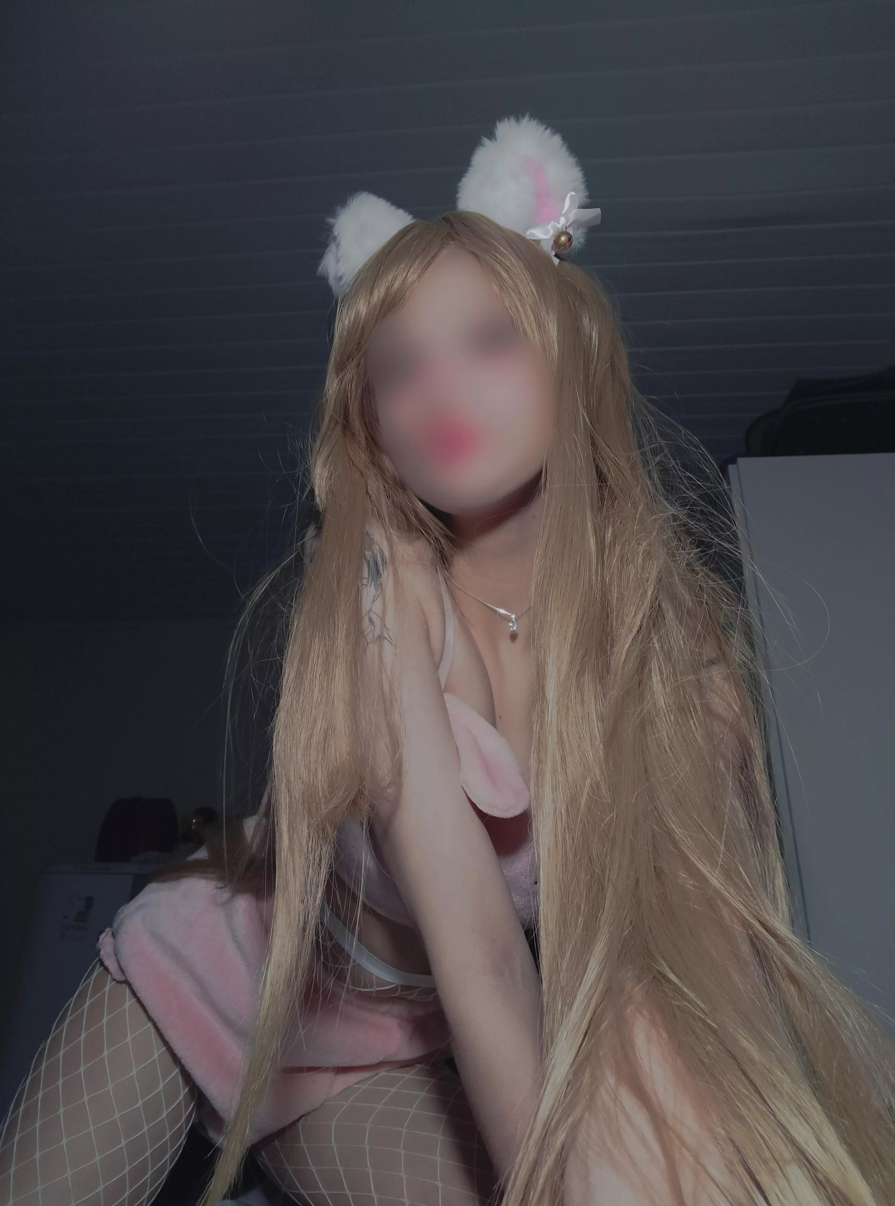 let me be your kitten 😽