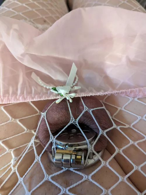 Love how well this cage fits 😍