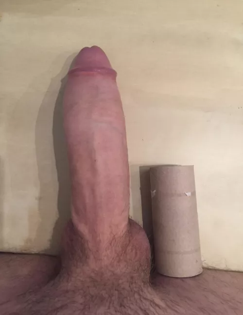 TP roll didn’t even stand a chance