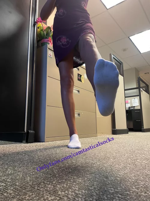 White Low Cut Sketchers Socks