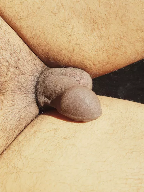 Why do you think softies are hot?