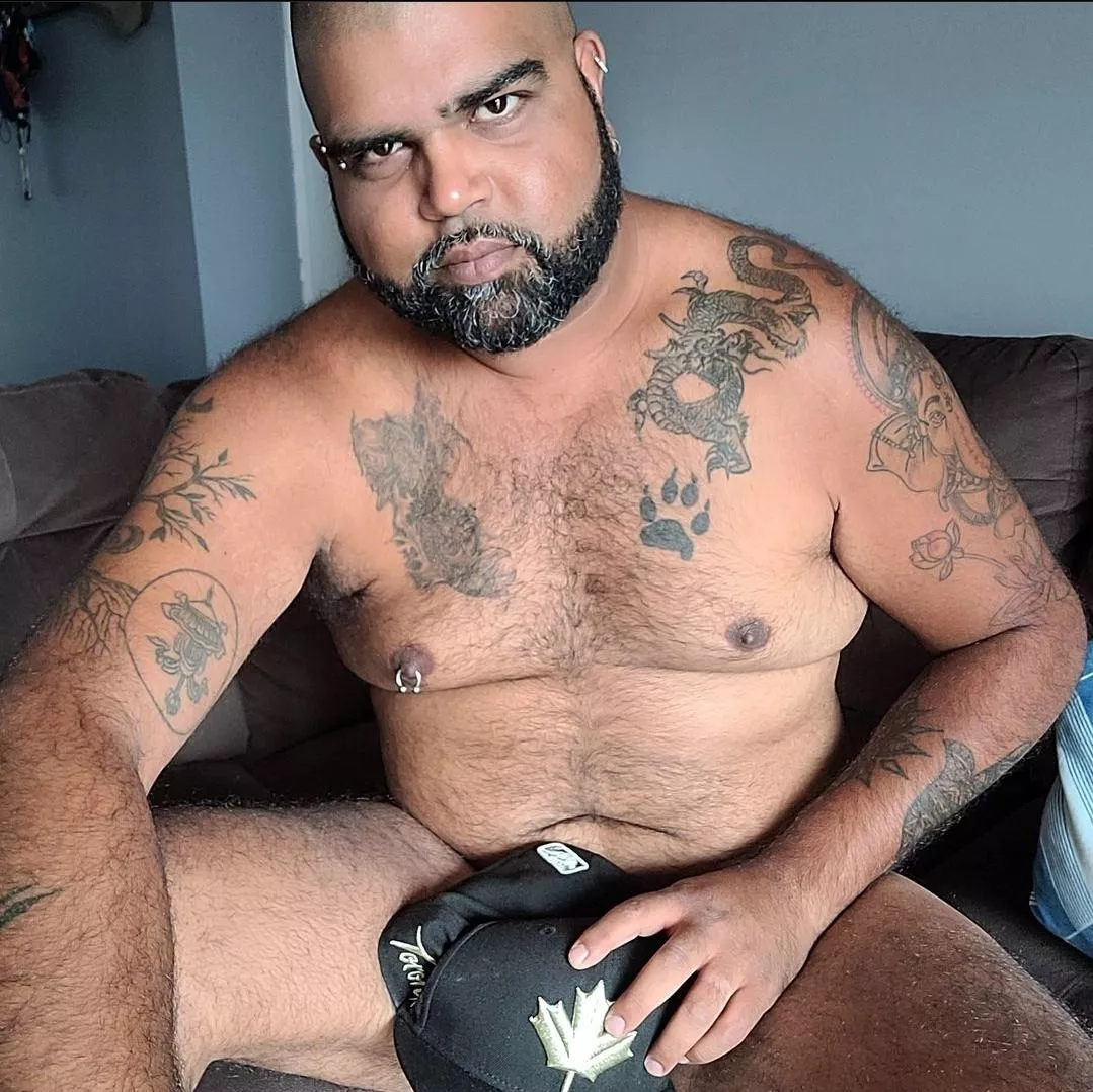 38 Brown Bear looking. Slide into my DM's.