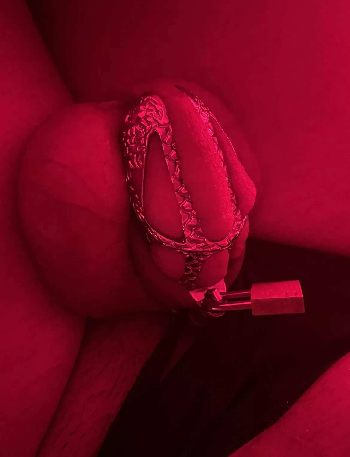 96 hours in chastity.. don’t know how long to stay in.. how do I look? 96 hours in chastity.. don’t know how long to stay in.. how do I look?