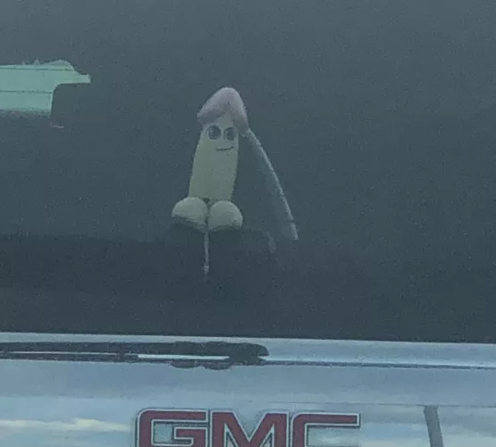 A whole new meaning to GMC