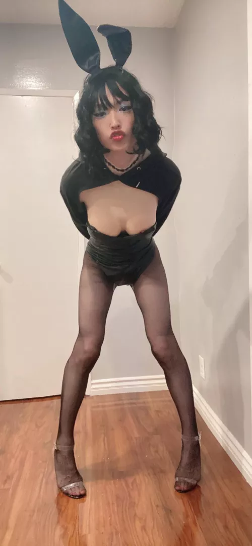 Can we fuck like rabbits?