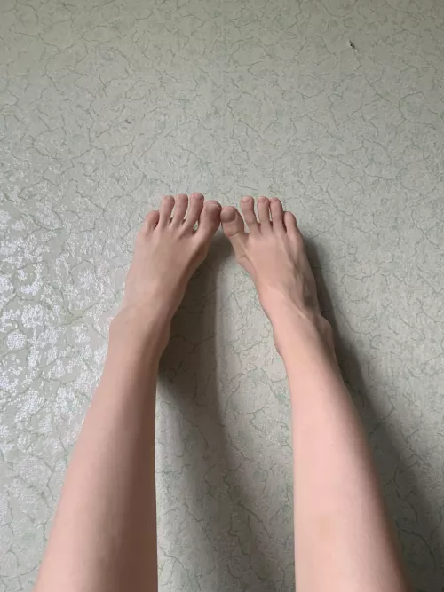 Fancy a leggy adventure?