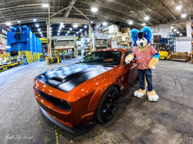 Fursuiting at my works car show, name the car