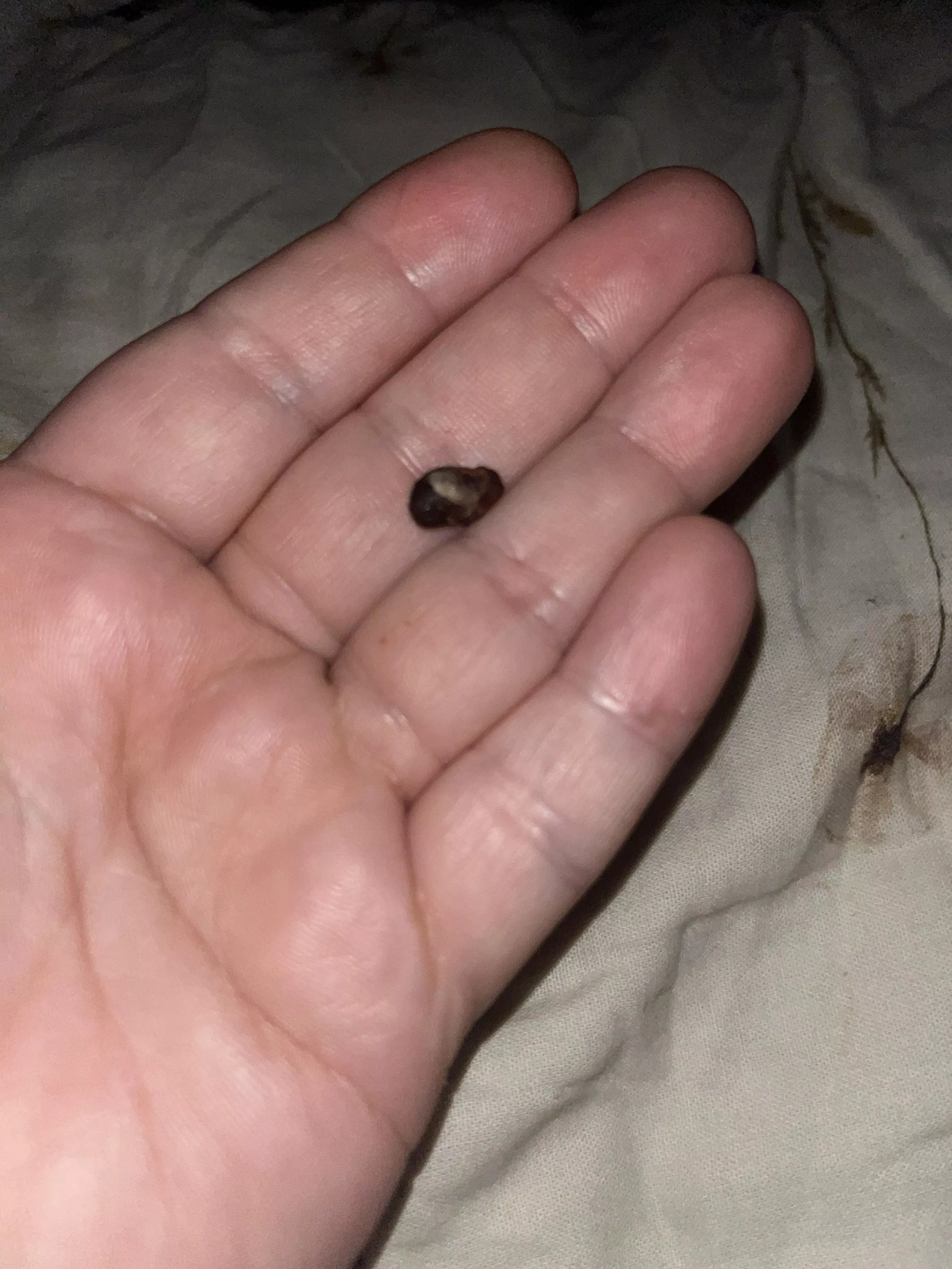 I can finally hear again