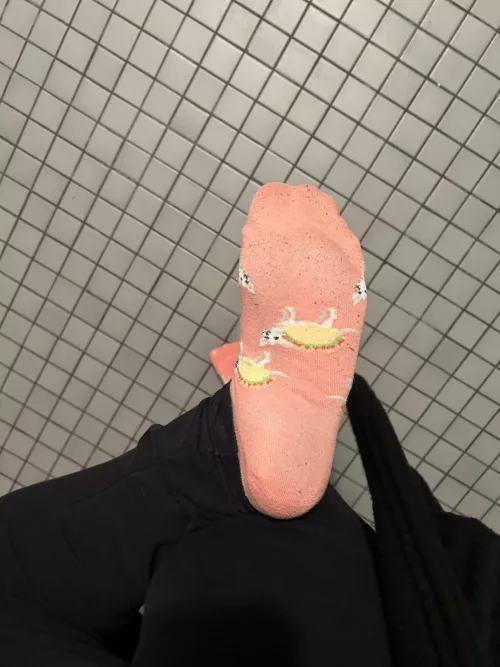 i wonder what these will look like by the end of the day 🥰😻