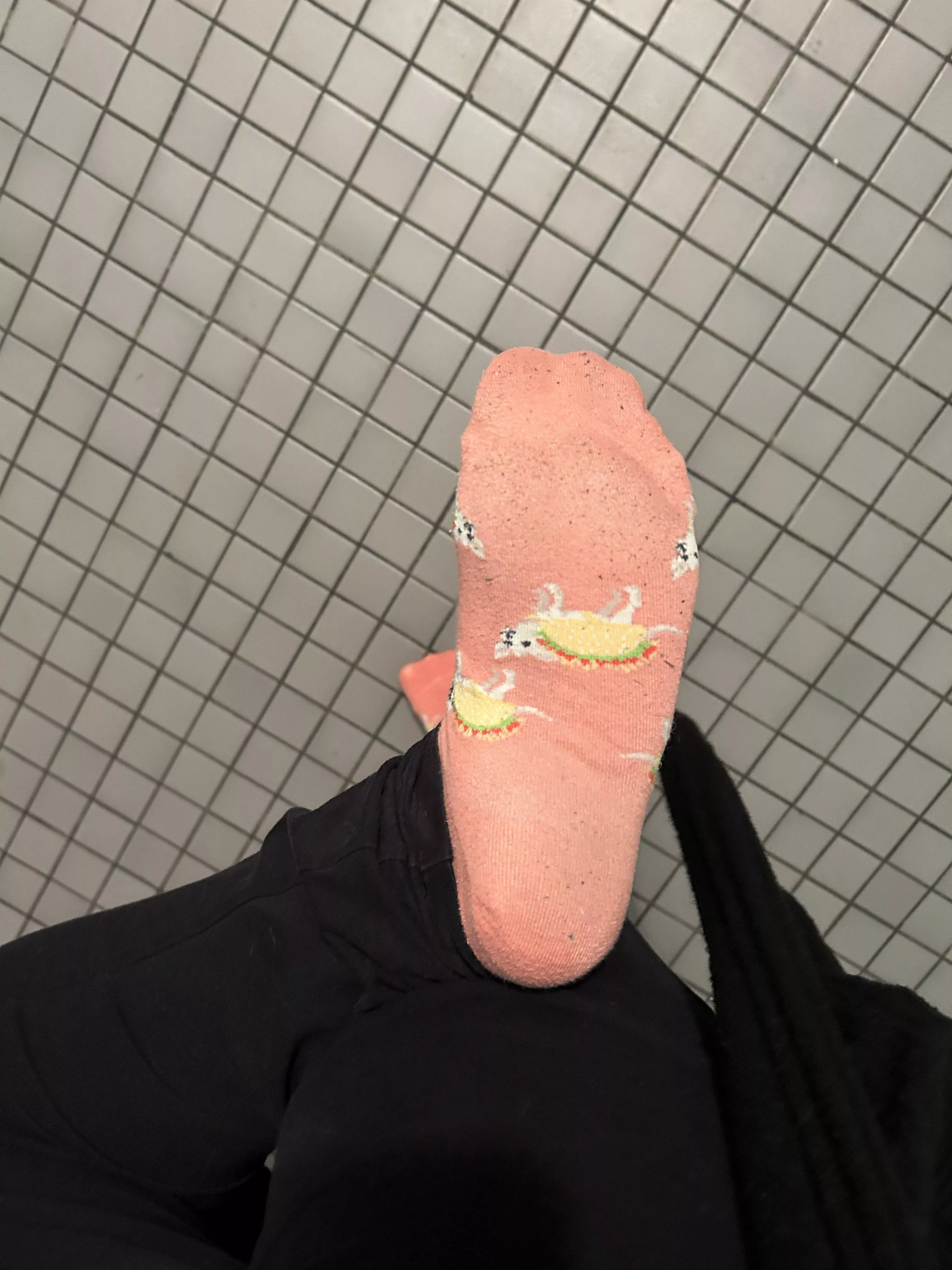 i wonder what these will look like by the end of the day 🥰😻