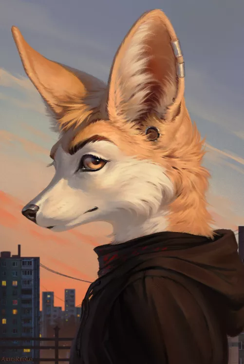 Rooftop Fennec
