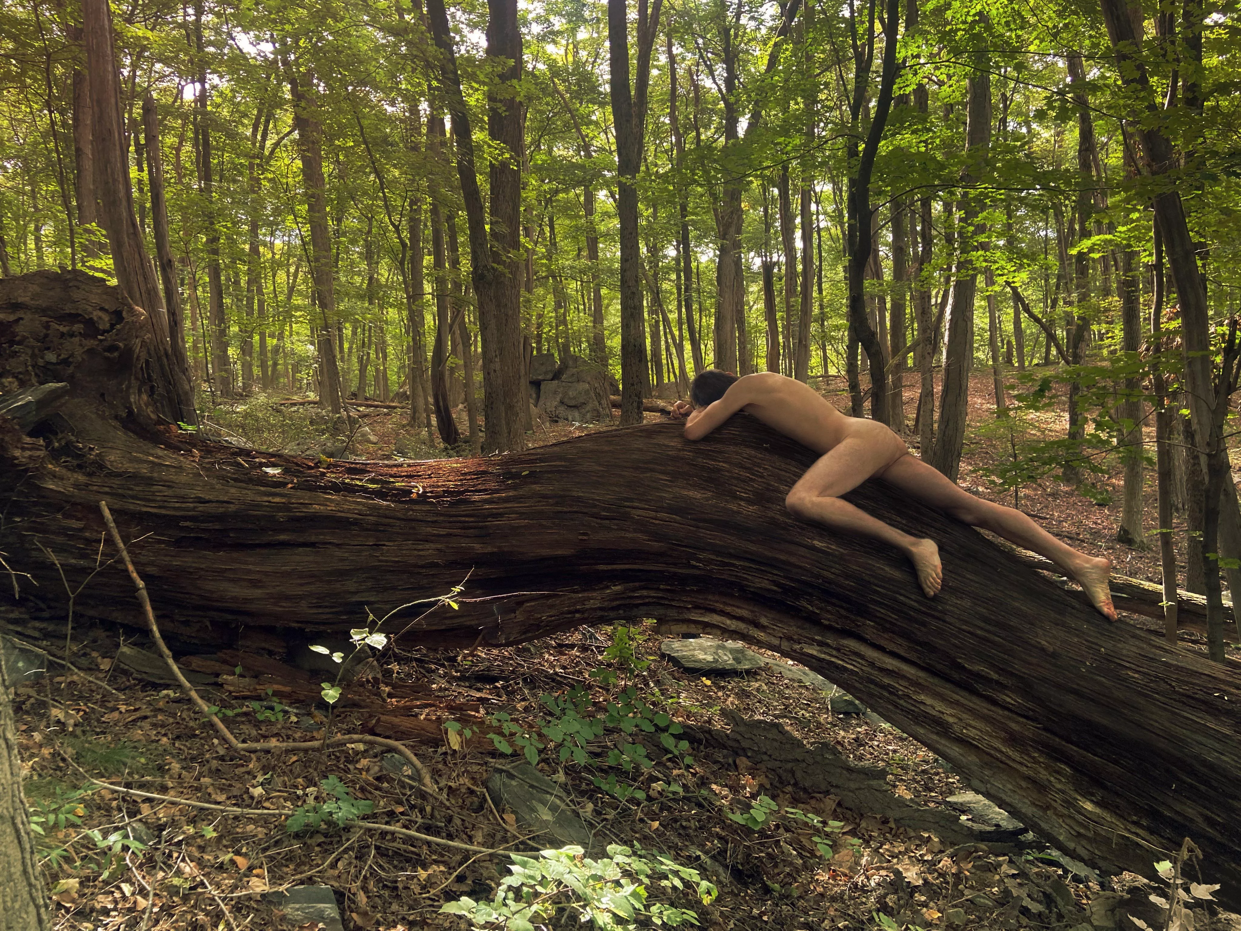 Where do you go to rest? The foREST of course!!! 🌲