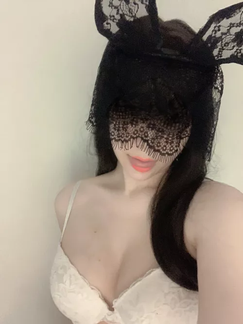 are you looking to adopt a cute bunny