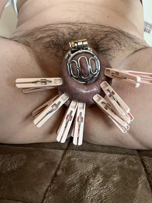 clothespin chastity