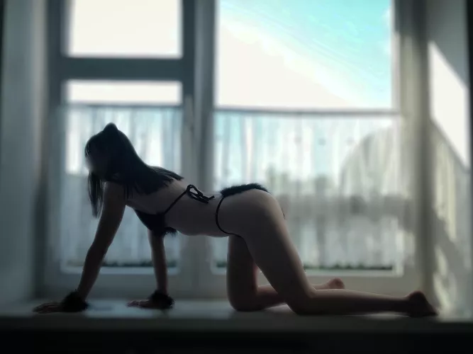 Cum and watch me purr...