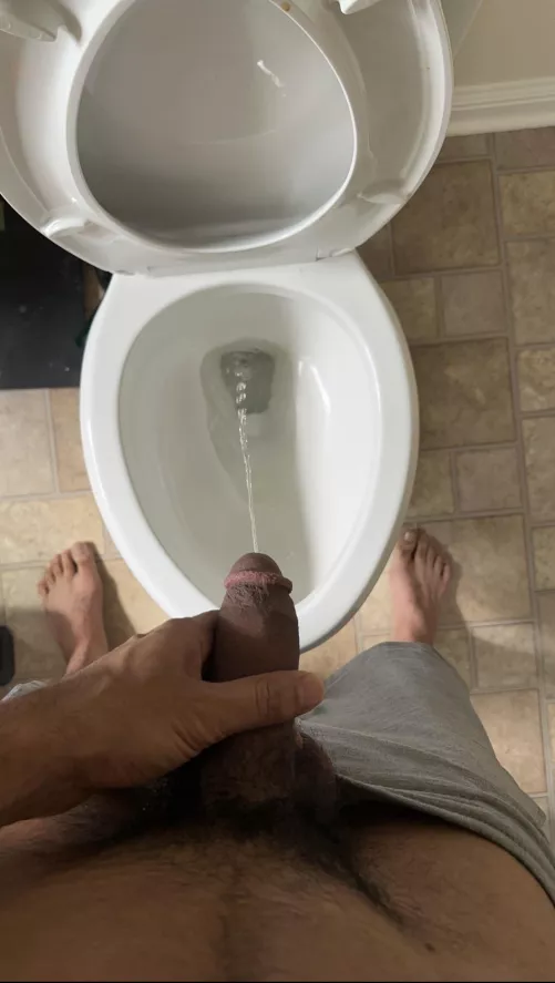 Do you want to be daddy’s little toilet?