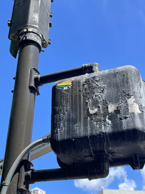 Finally saw one out in the wild lol