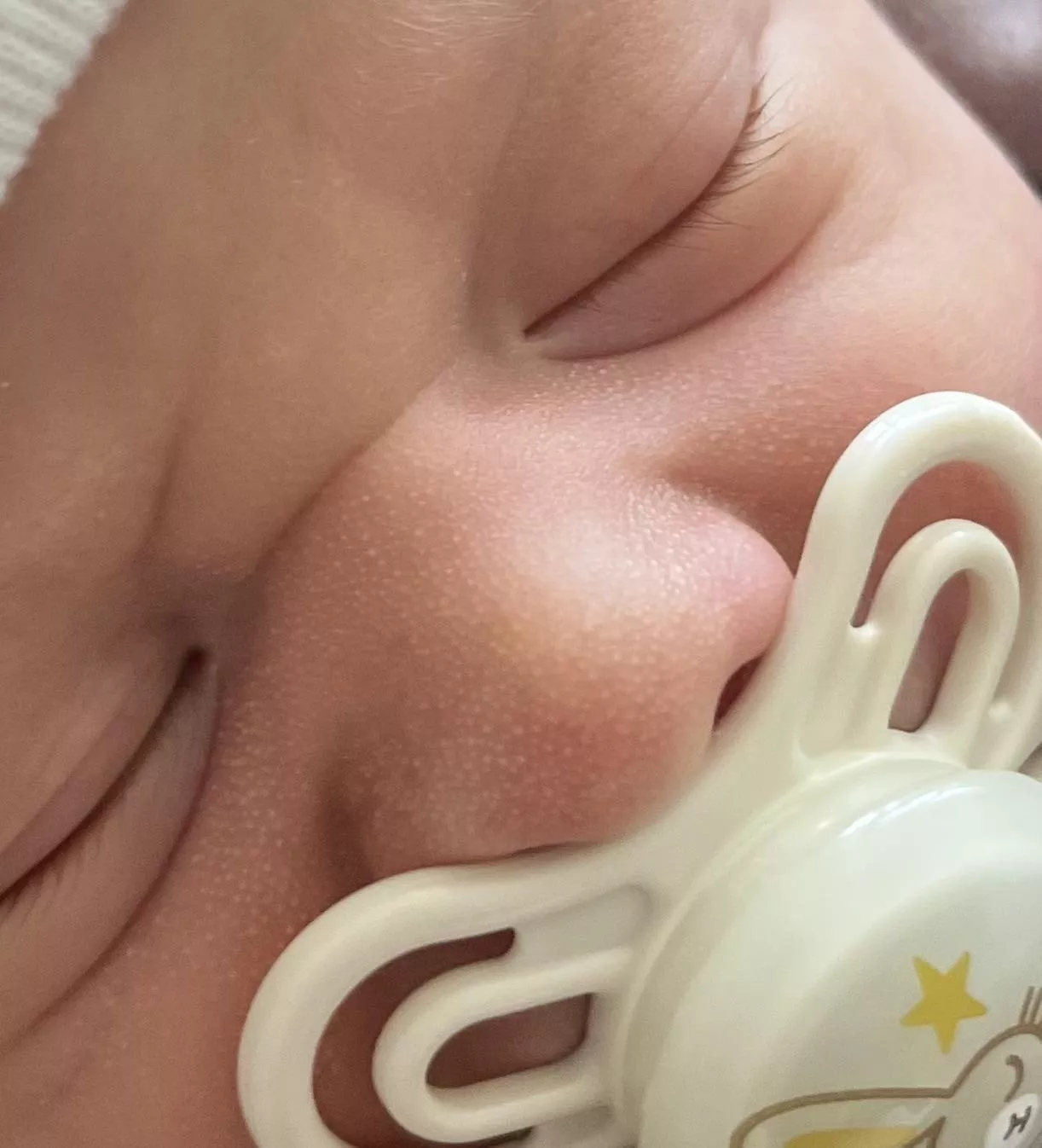 Forbidden Pops - Newborn Edition