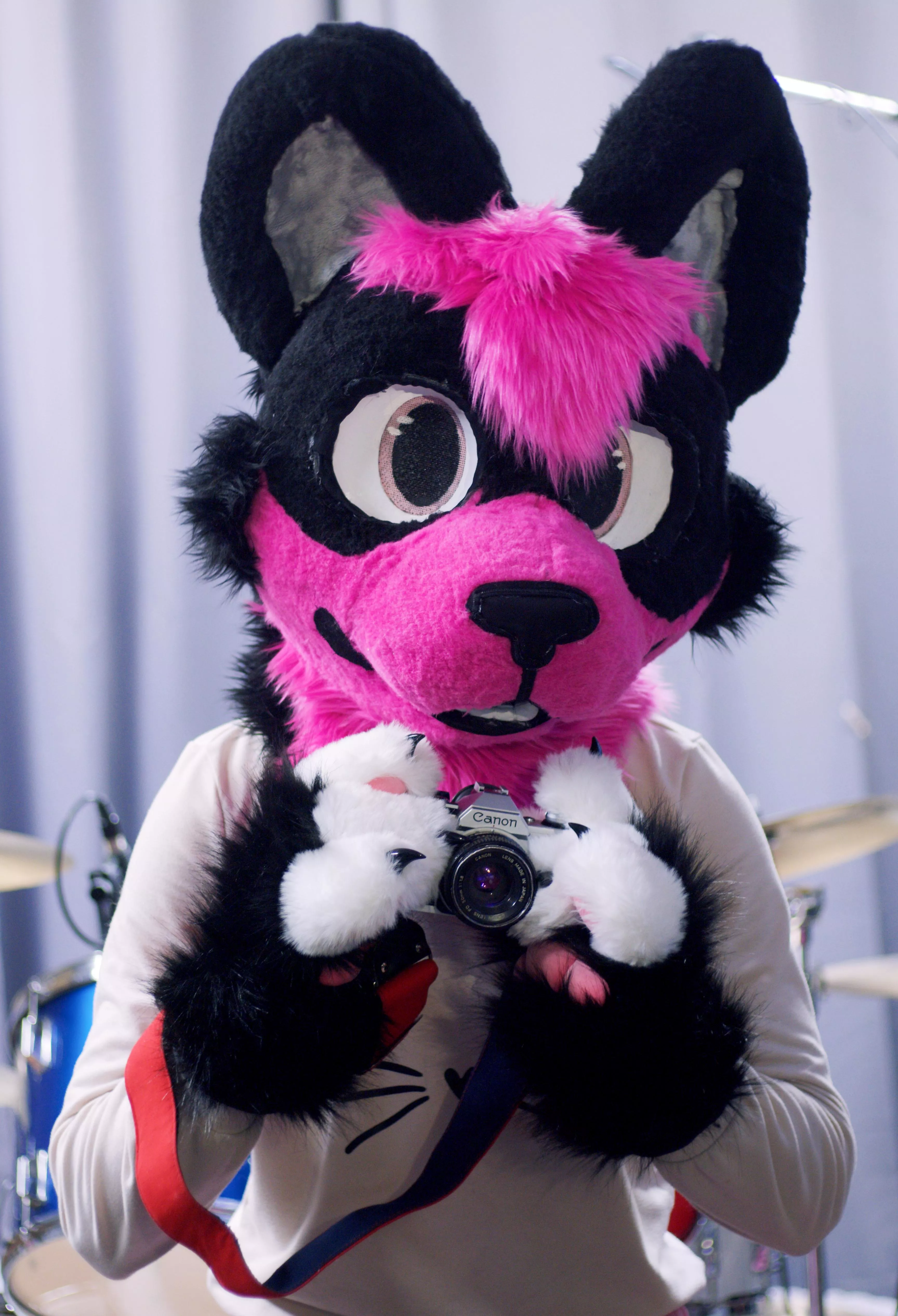 Hewwo! Can I take your Picture?