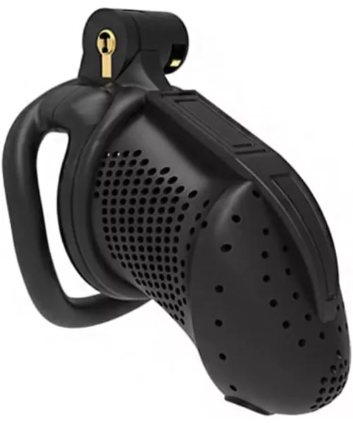 Just ordered this today