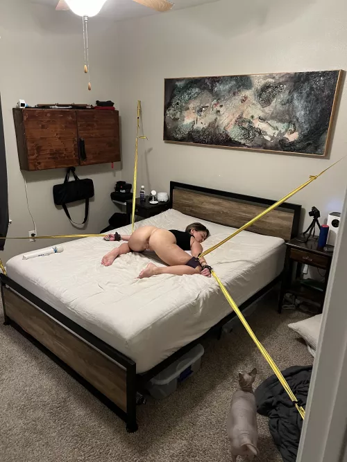 Made most accessible