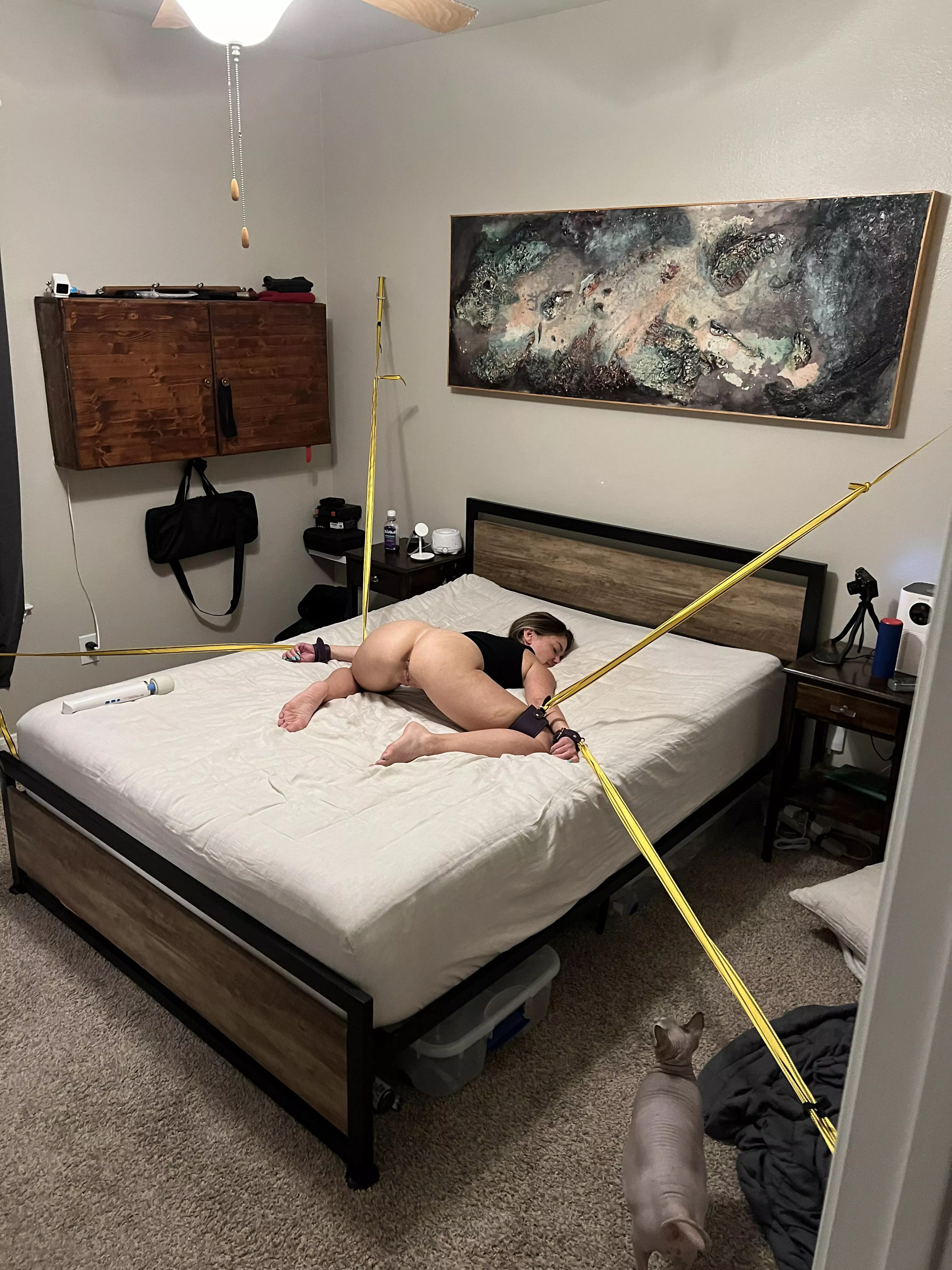 Made most accessible