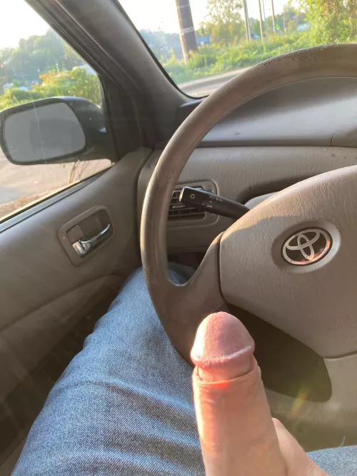 Wood you stop and watch?