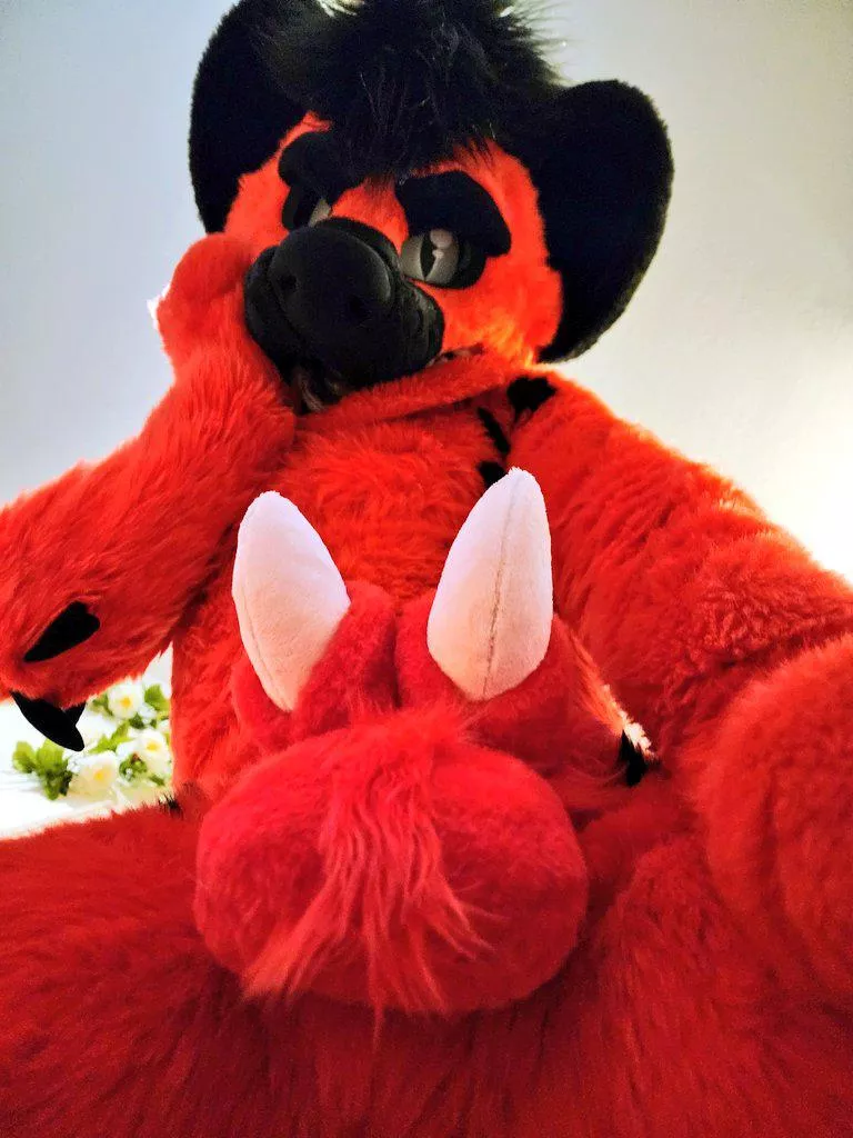 2 is better than 1~ Hope you are up for it. 🦈