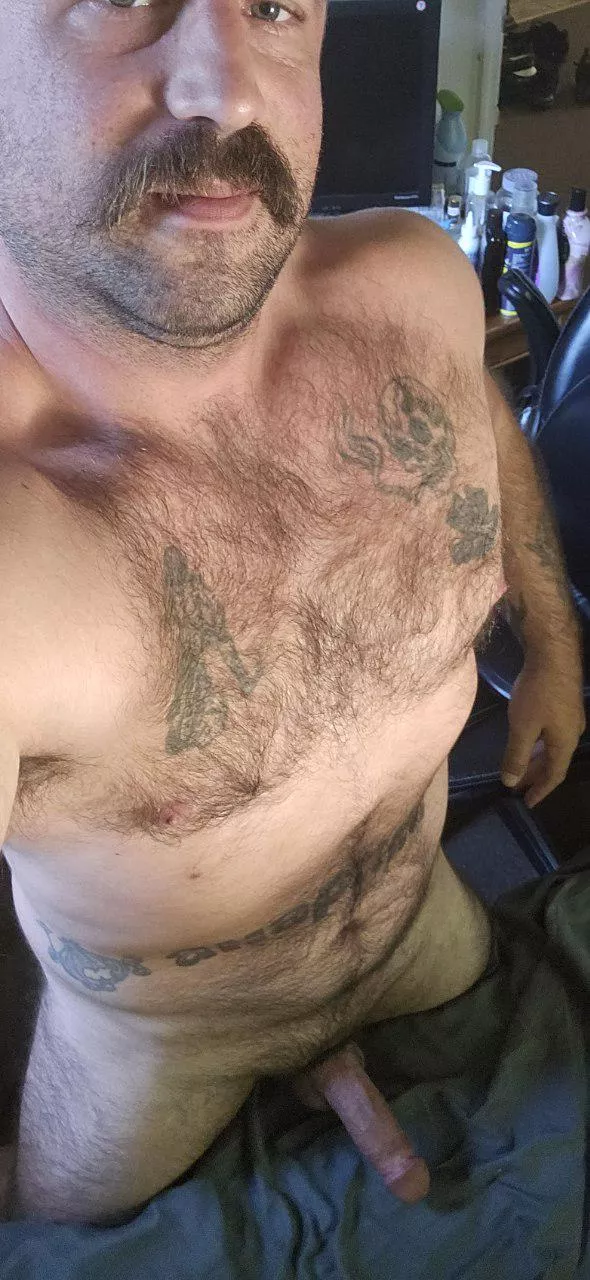 Home alone for a bit.... (38)