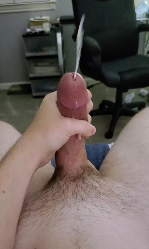 I promise I won't pull out. I have a breeding kink. Pms open