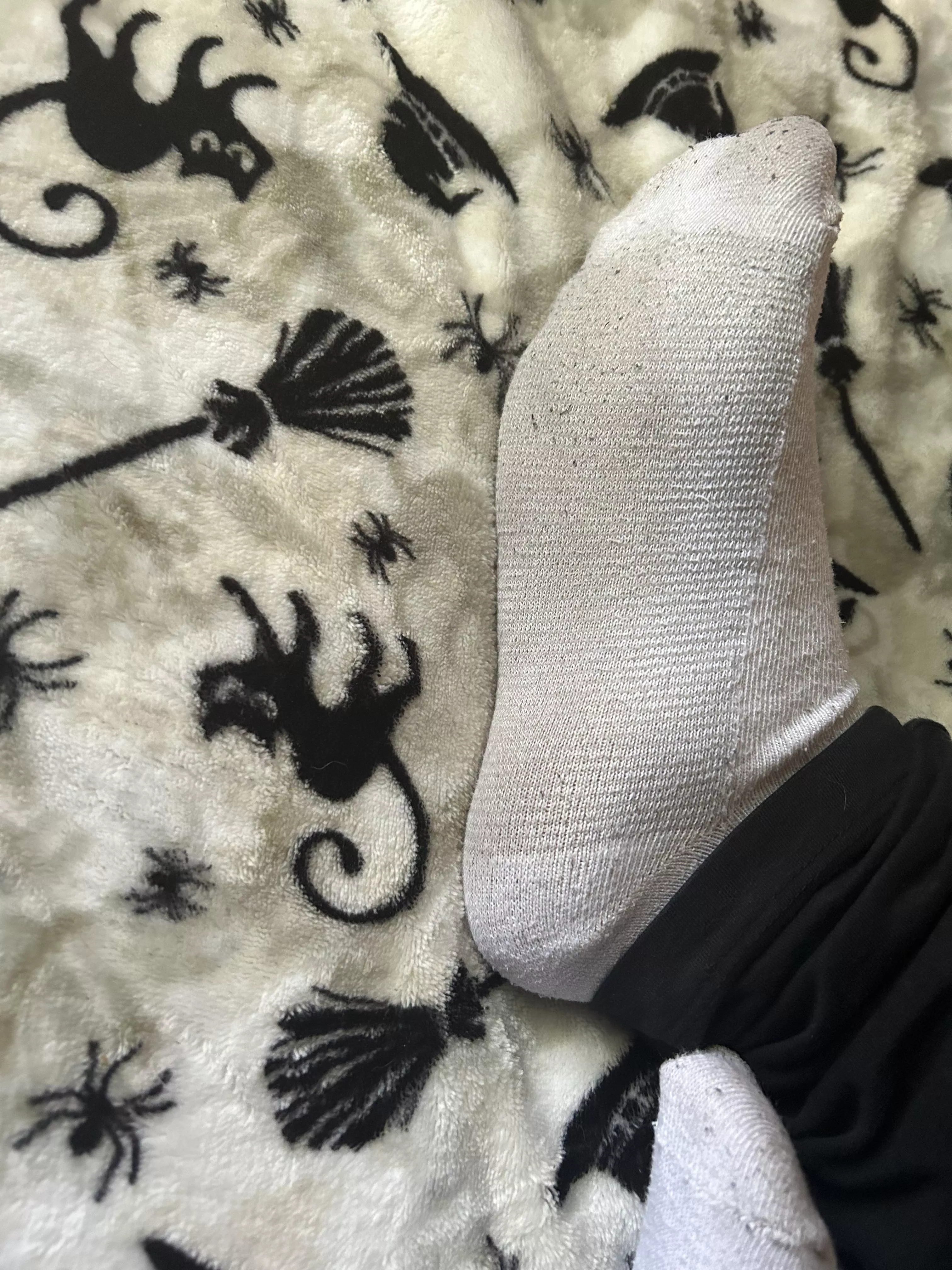 if these were in your bed, what would you do?😝