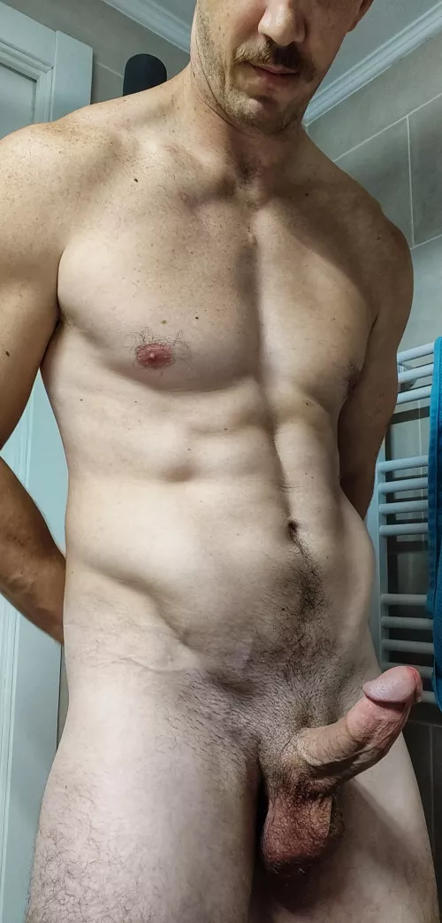 Night owl or early bird? [35]