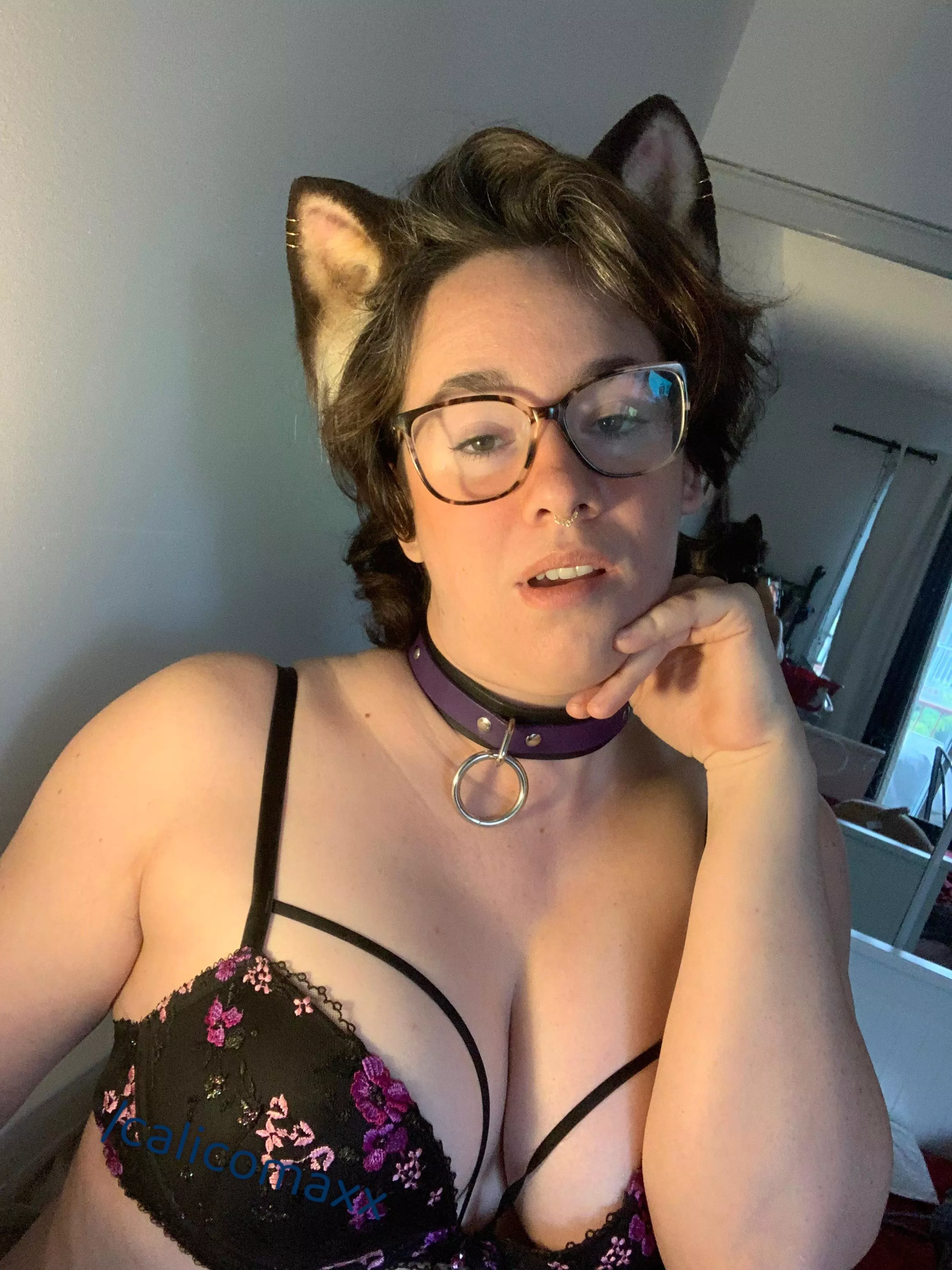 What’s your favourite kind of kitty? [OC]