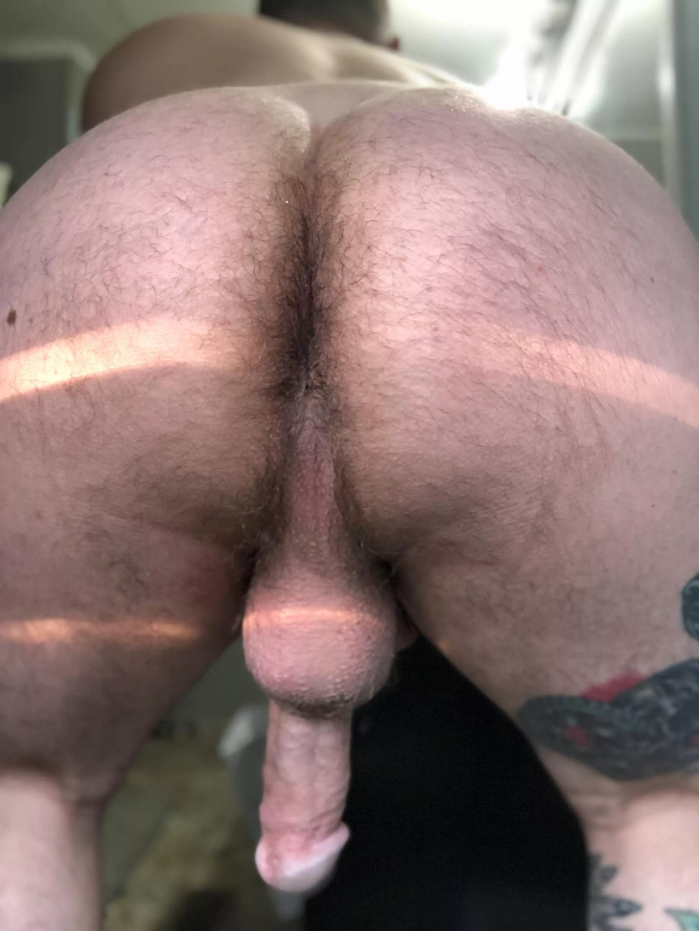 Who likes a big dick bottom?