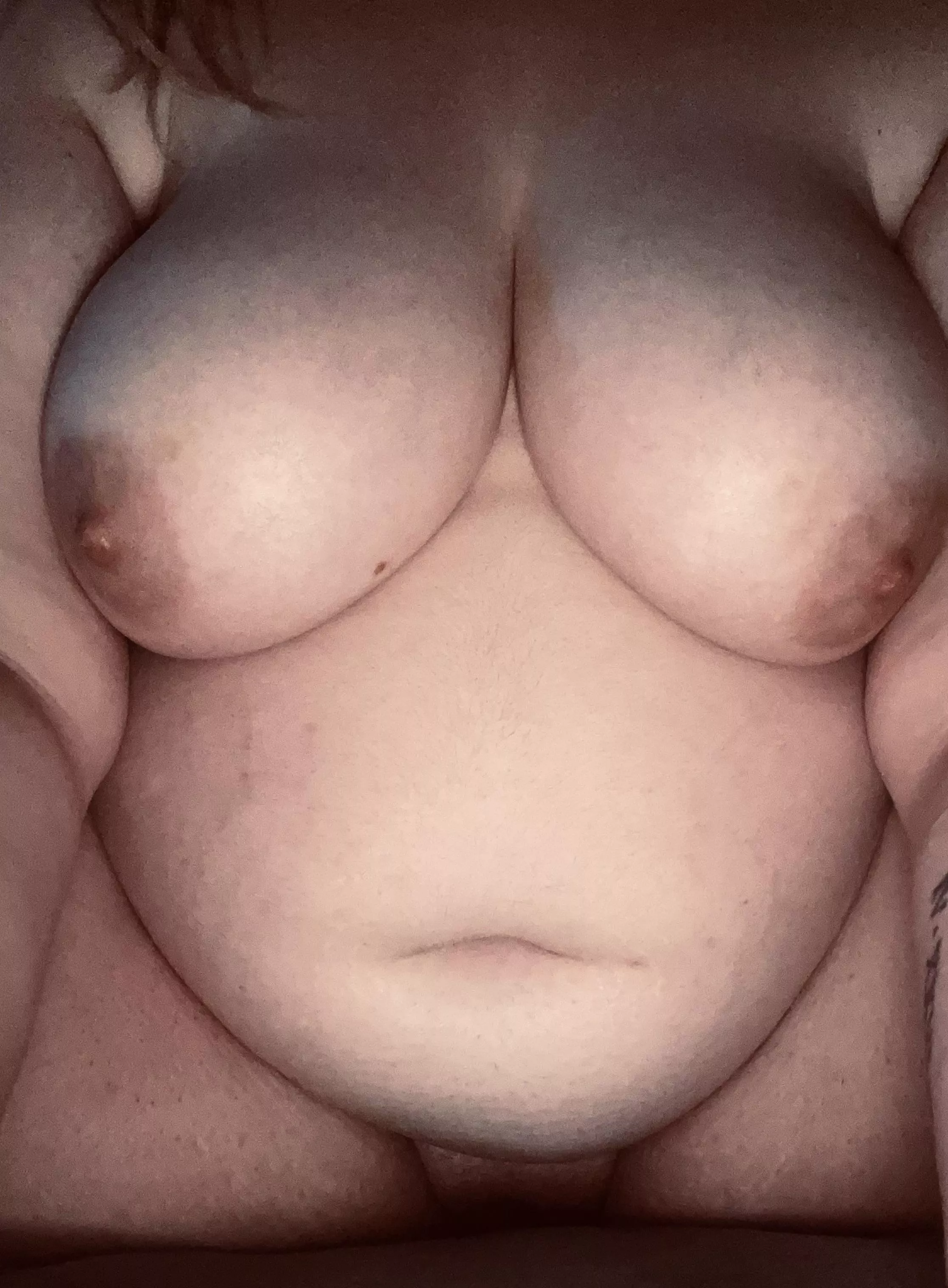 Will you play with me? 🐷🐮💖