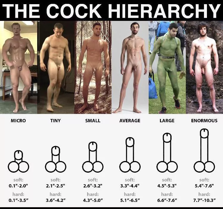 28 m show me where you are on the hierarchy and I’ll show you where I am