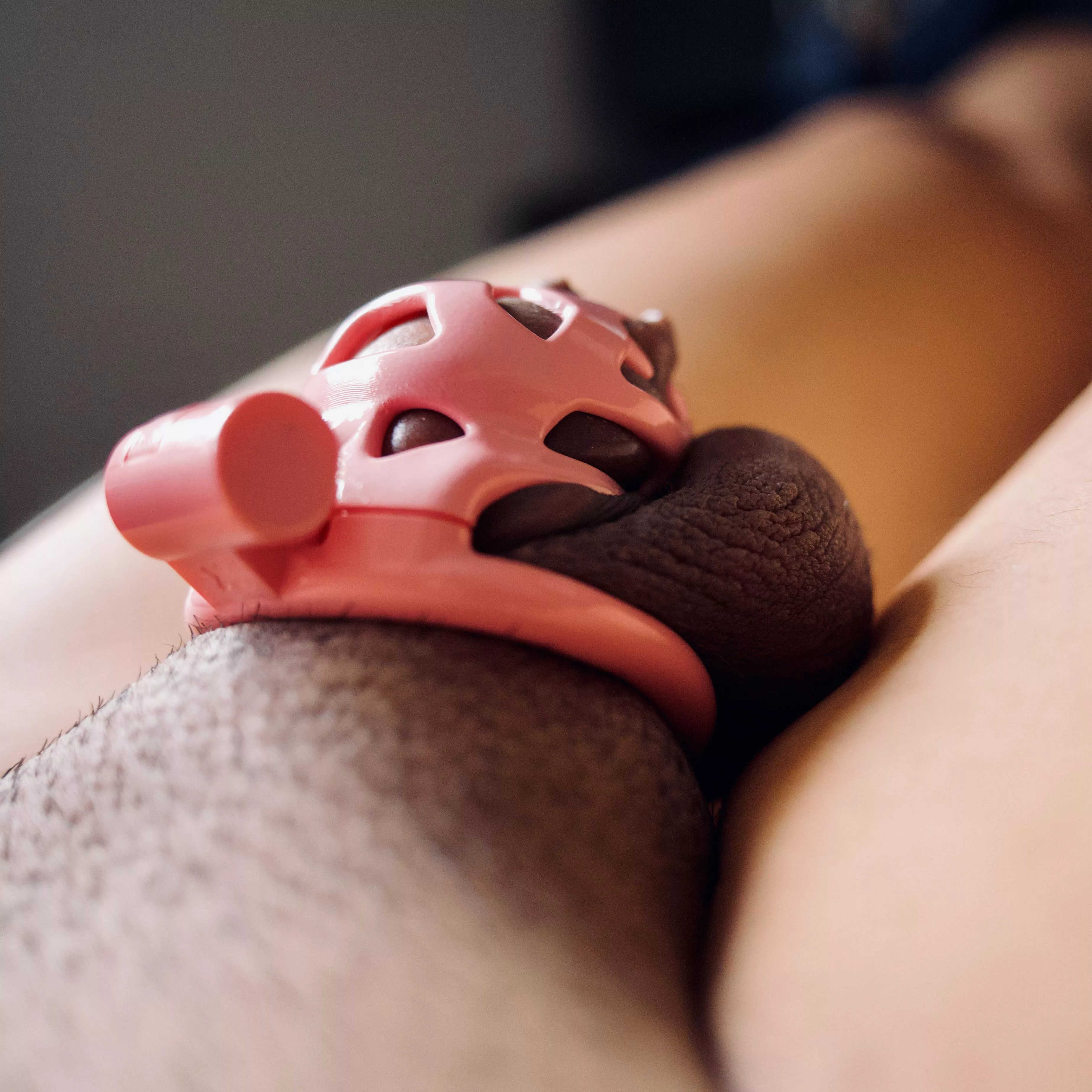 A day in the cage 🔐