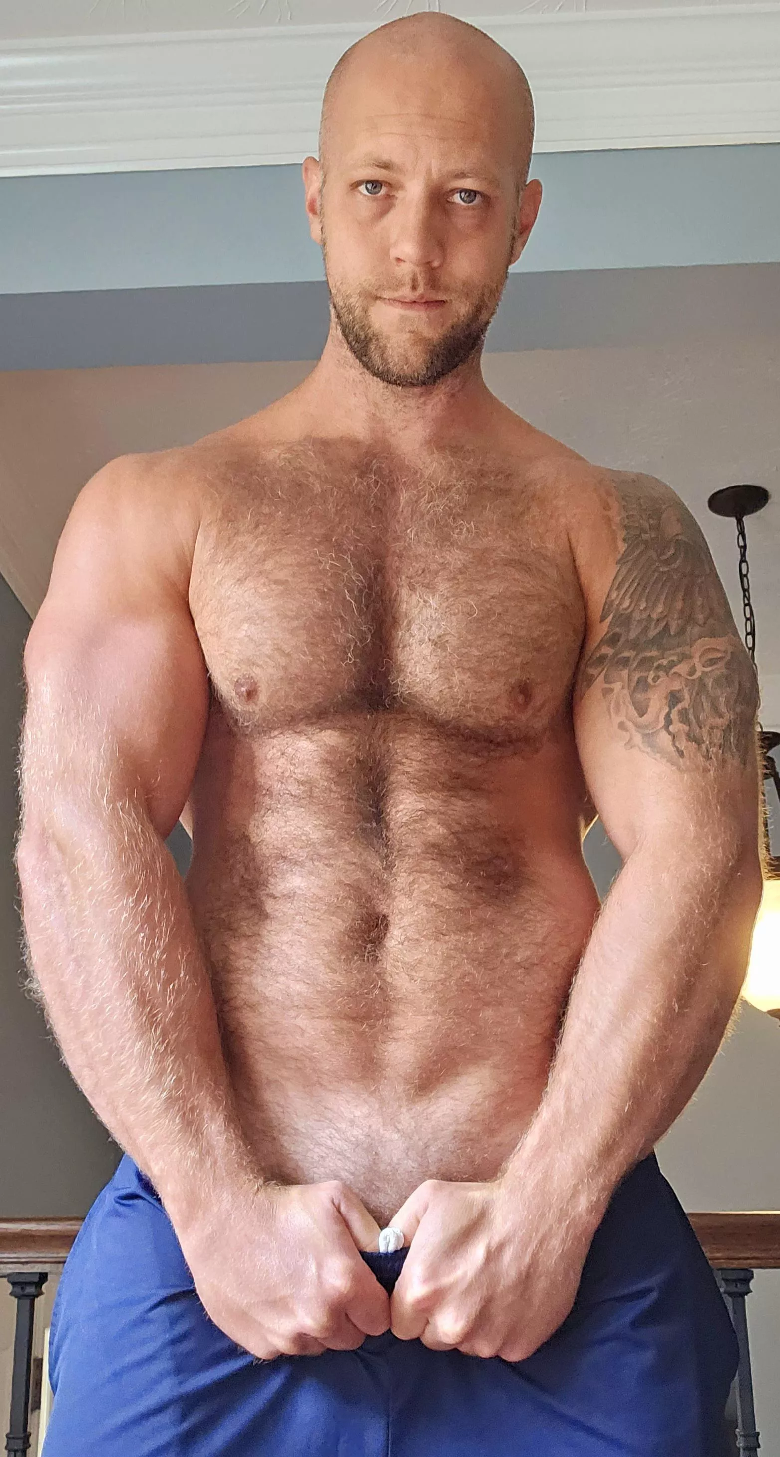 Anyone want to run their fingers through my fur?