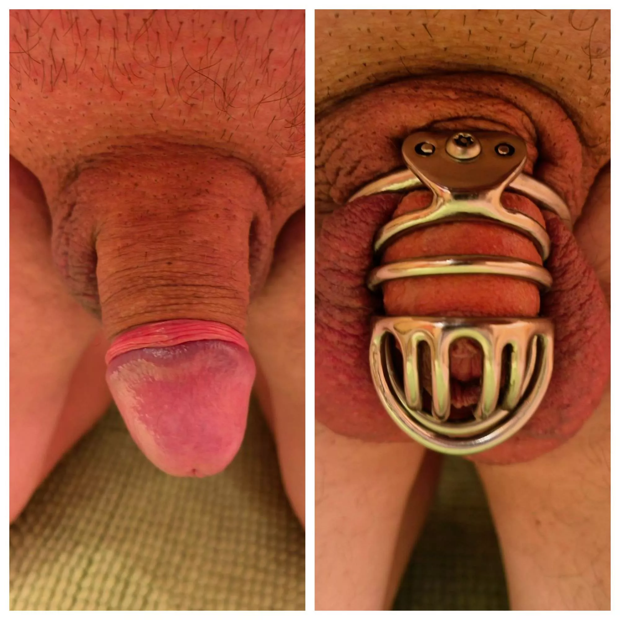 Back in my cage after a week of freedom.