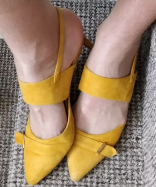 Beautiful yellow kitten heels 😺