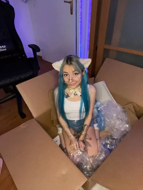 Ding Dong! Your cutie has delivered! Start to play?