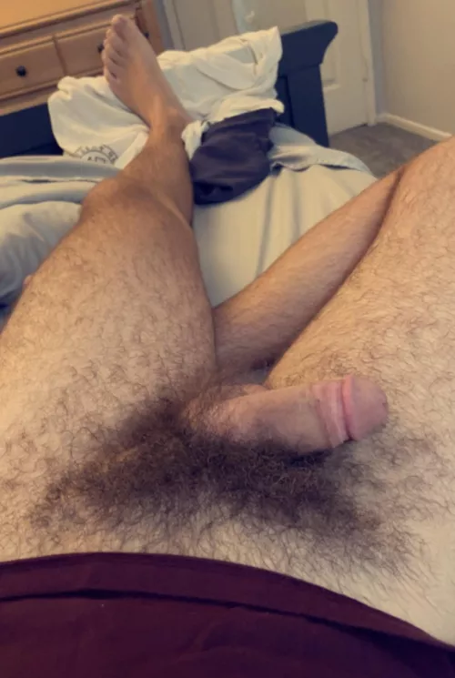 Does anybody want to help me get my hairy cock hard?
