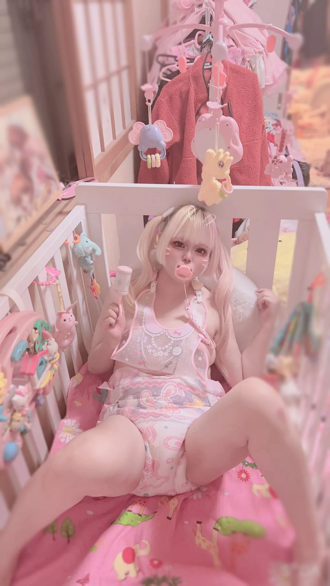 Is this an adult crib? It looks like the perfect size, where to get one?