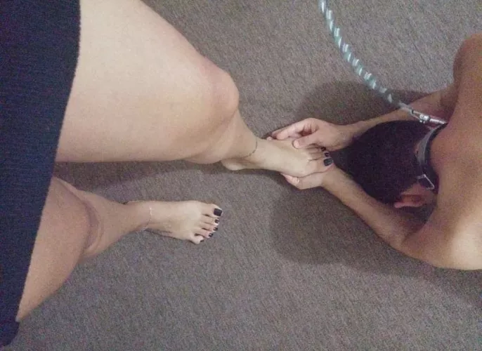 The pig revolt must be atoned!