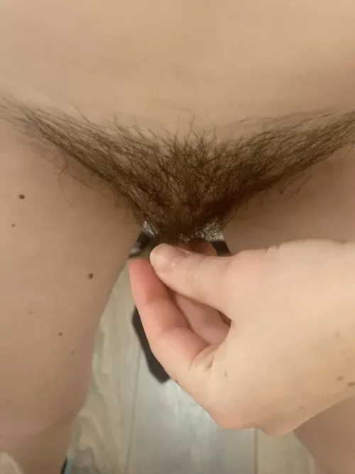 Where are my bush lovers?